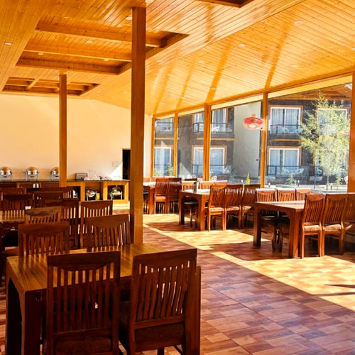 top hotel in manali